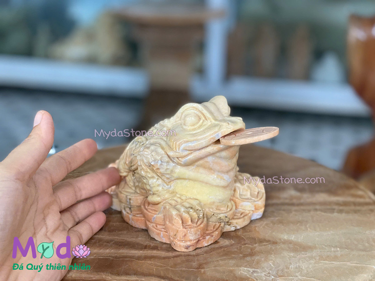 Cóc Thiềm Thừ đá Cà Rốt Vàng
