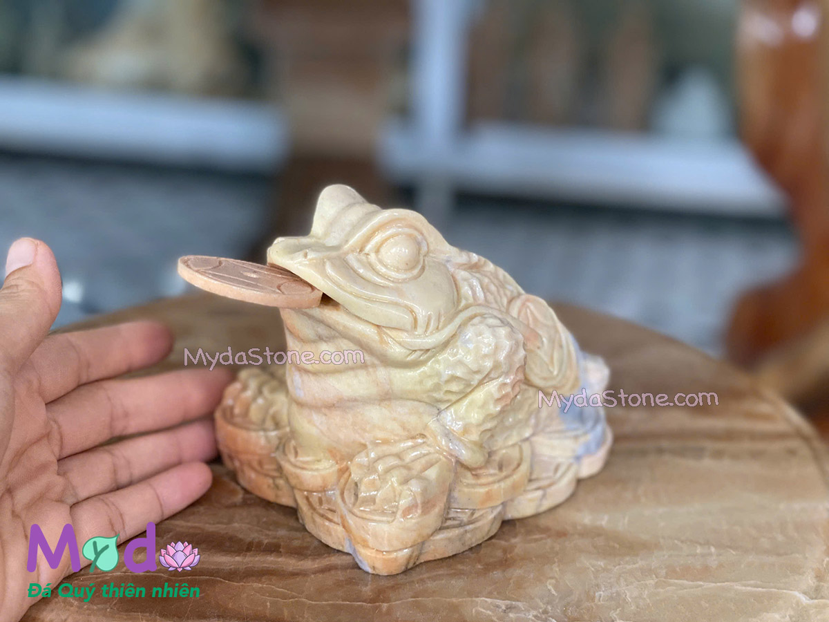 Cóc Thiềm Thừ đá Cà Rốt Vàng