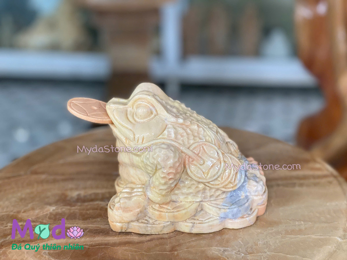 Cóc Thiềm Thừ đá Cà Rốt Vàng