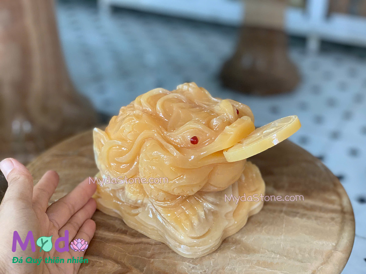 Cóc Thiềm Thừ đá Ngọc Hoàng Long