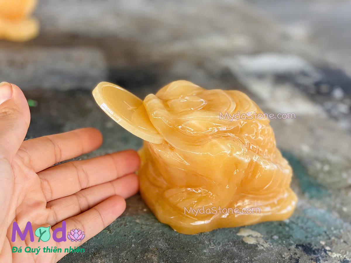 Cóc Thiềm Thừ đá Ngọc Hoàng Long