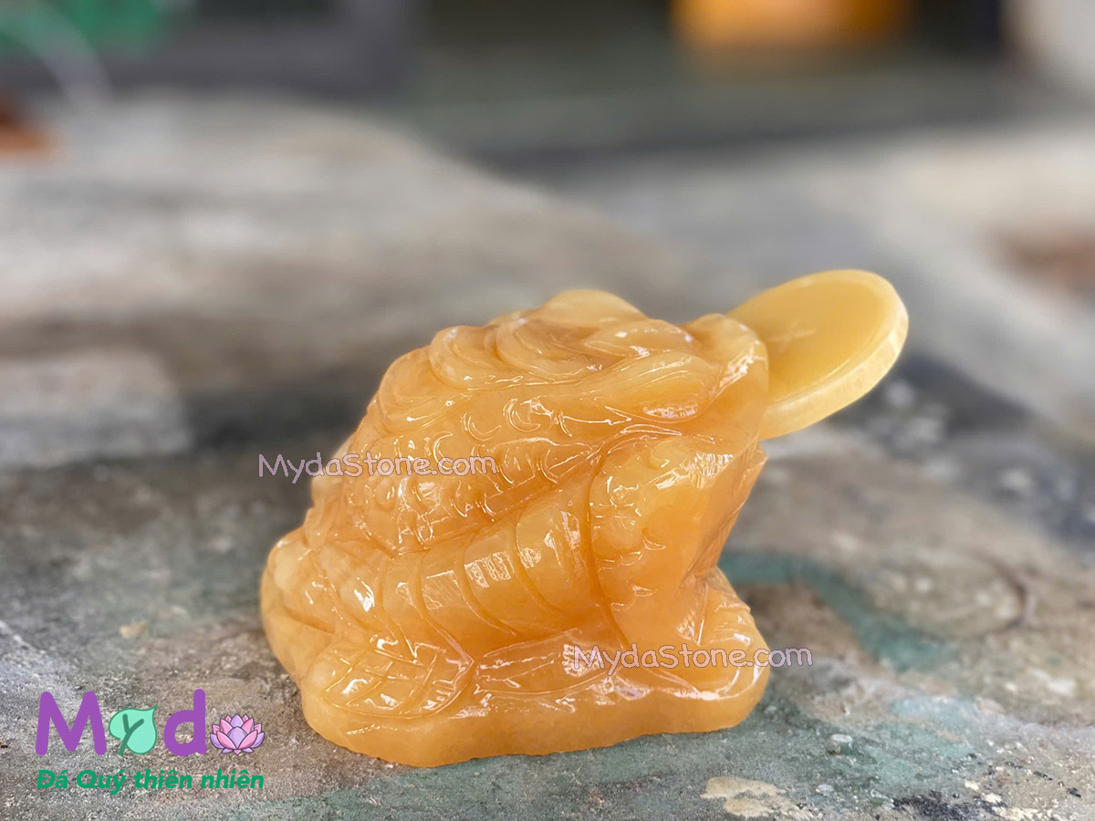 Cóc Thiềm Thừ đá Ngọc Hoàng Long
