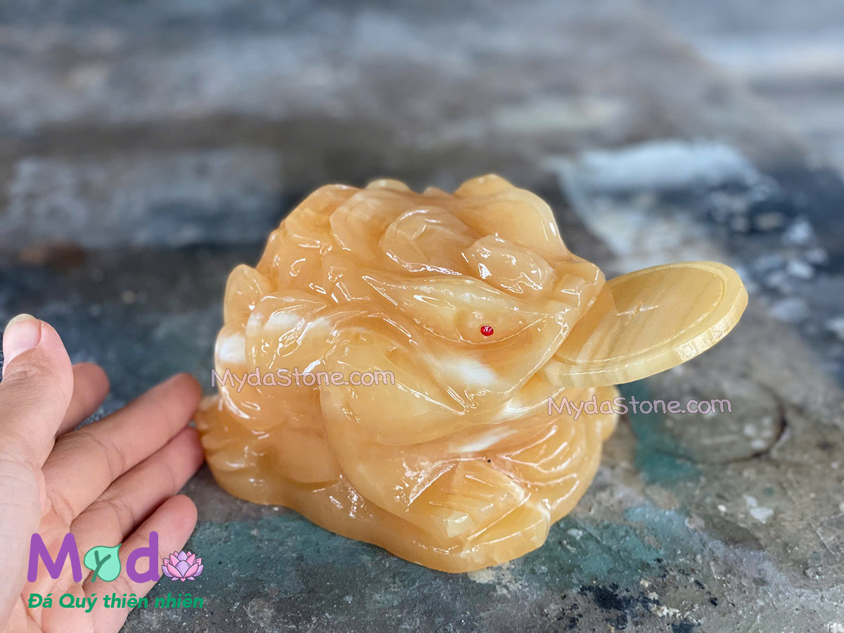 Cóc Thiềm Thừ đá Ngọc Hoàng Long