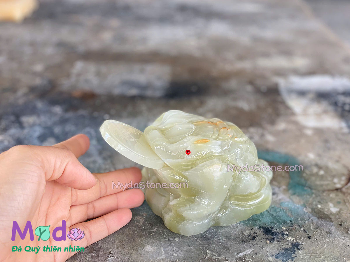Cóc Thiềm Thừ Đá Ngọc Xanh Pakistan