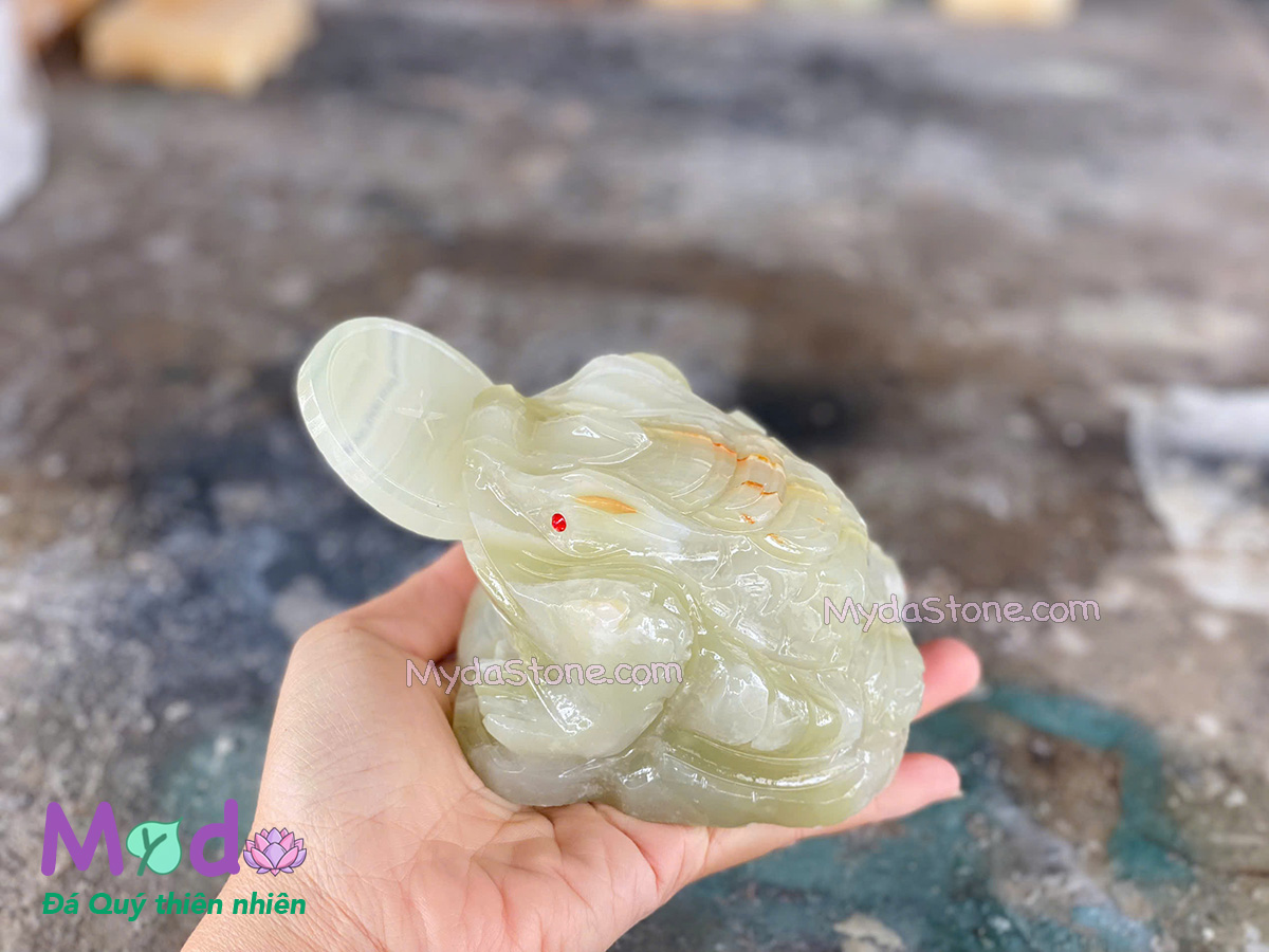Cóc Thiềm Thừ Đá Ngọc Xanh Pakistan