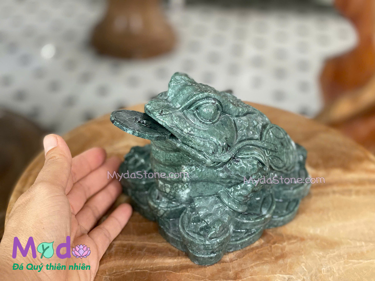 Cóc Thiềm Thừ Đá Xanh Ấn Độ