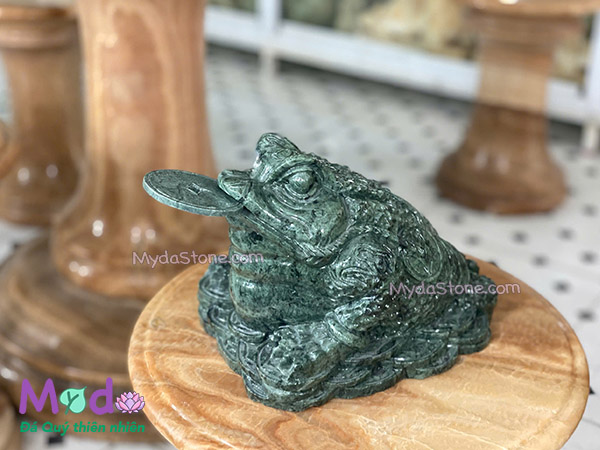 Cóc Thiềm Thừ đá Xanh Ấn Độ