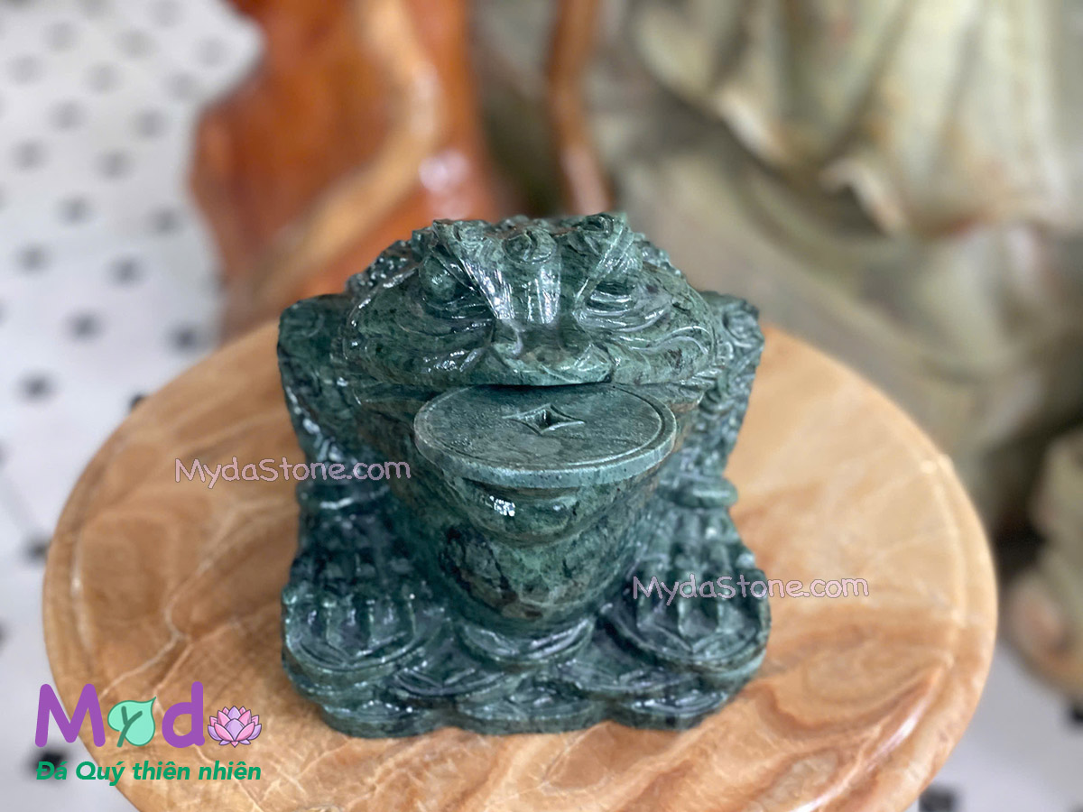 Cóc Thiềm Thừ đá Xanh Ấn Độ