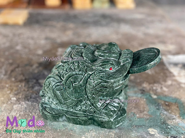 Cóc Thiềm Thừ Đá Xanh Ấn Độ