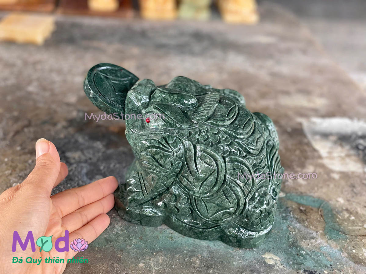 Cóc Thiềm Thừ Đá Xanh Ấn Độ
