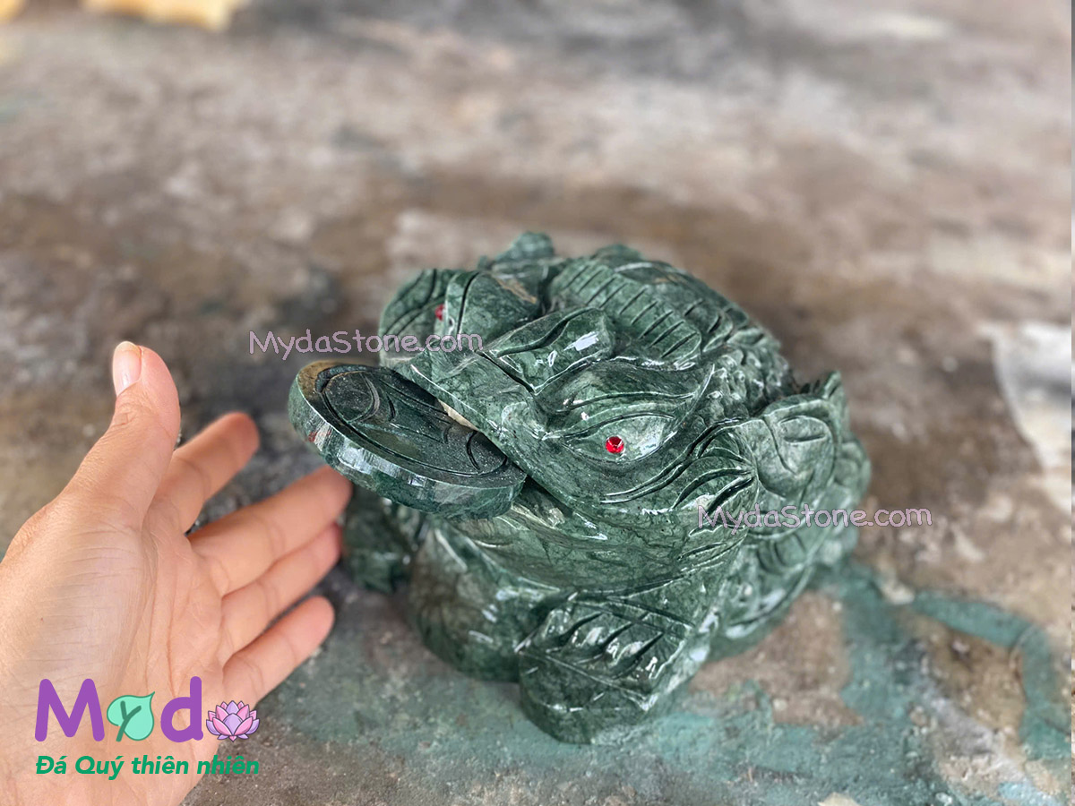 Cóc Thiềm Thừ Đá Xanh Ấn Độ