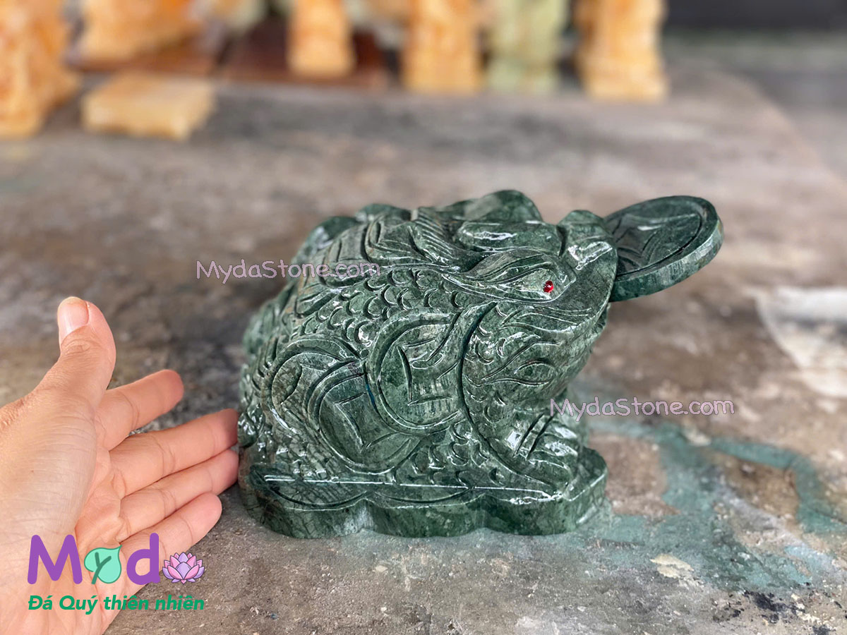 Cóc Thiềm Thừ Đá Xanh Ấn Độ