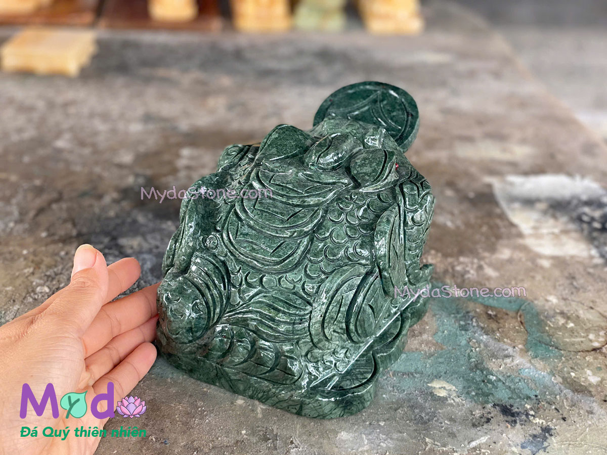 Cóc Thiềm Thừ Đá Xanh Ấn Độ