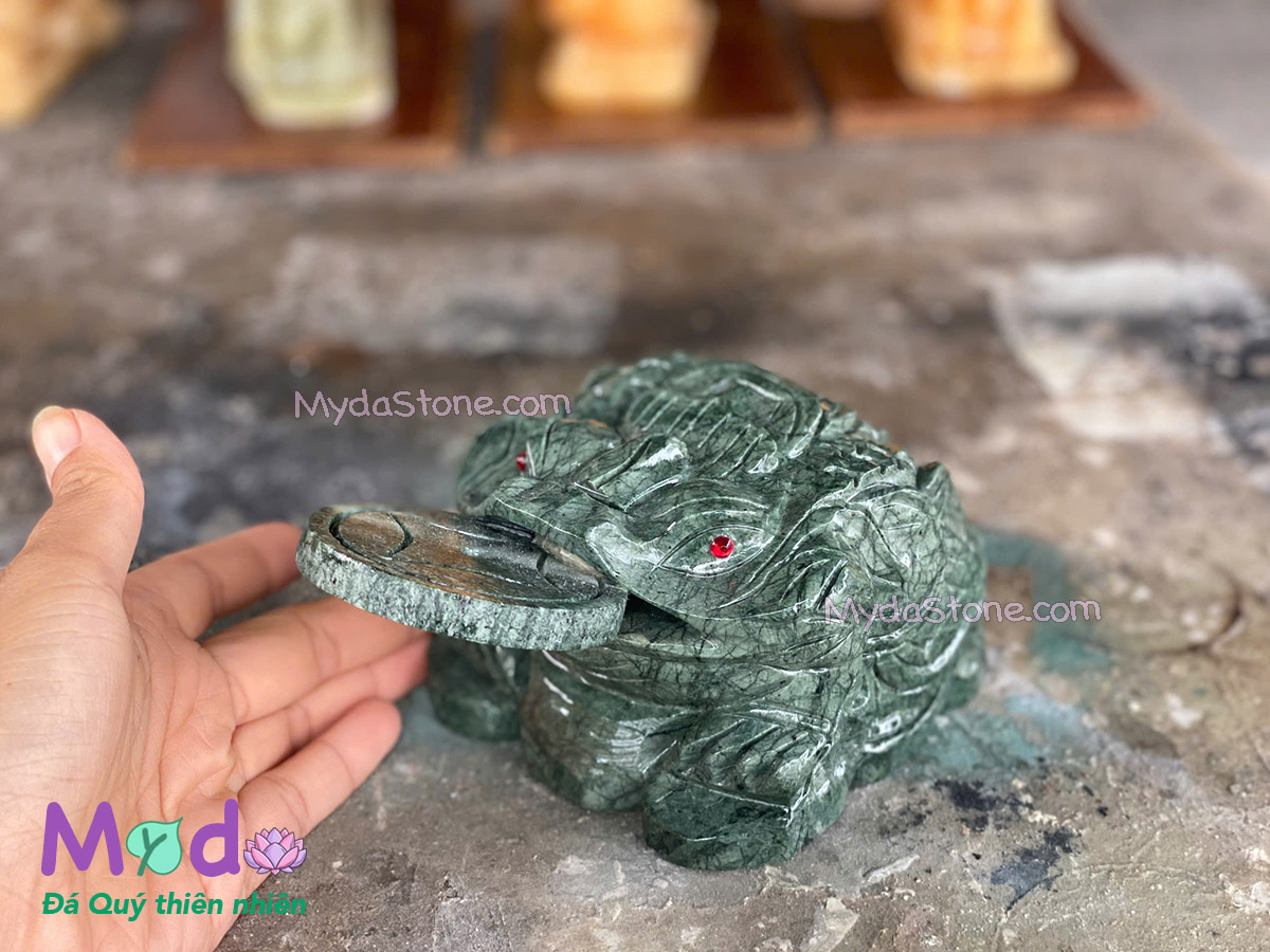Cóc Thiềm Thừ Đá Xanh Ấn Độ