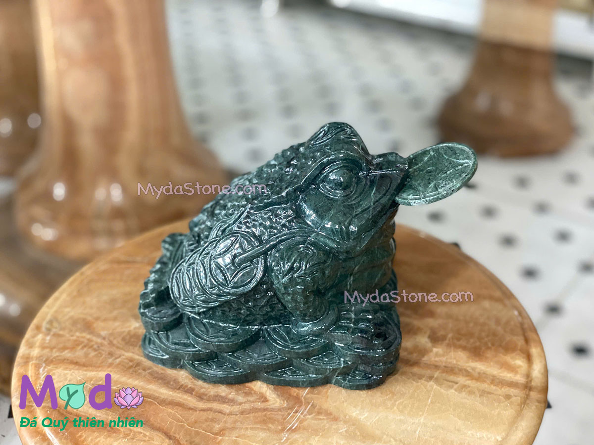 Cóc Thiềm Thừ đá Xanh Ấn Độ