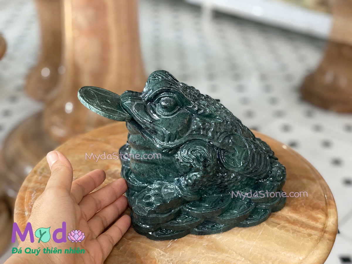 Cóc Thiềm Thừ đá Xanh Ấn Độ