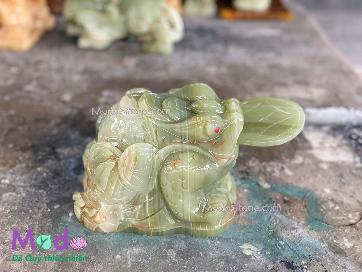 Cóc Thiềm Thừ đá Ngọc Xanh Pakistan