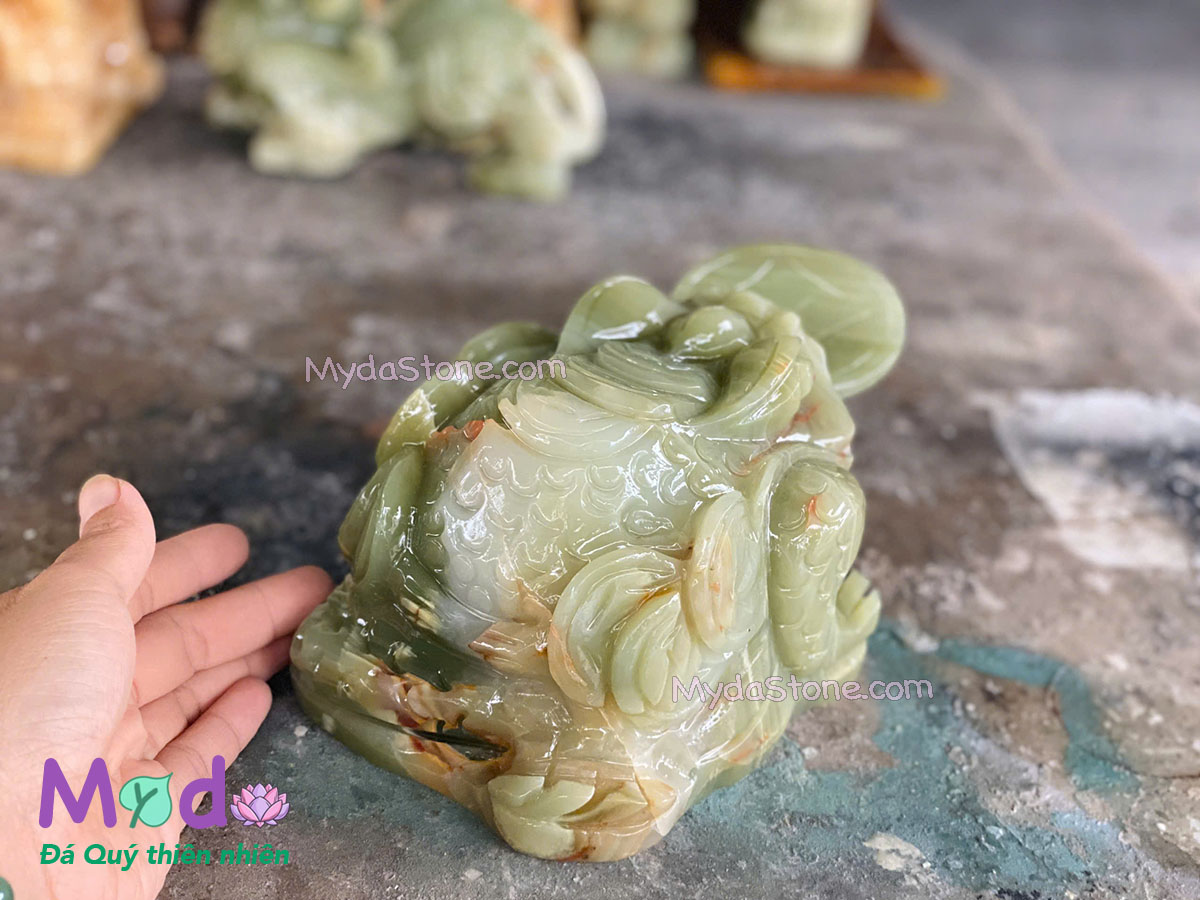 Cóc Thiềm Thừ đá Ngọc Xanh Pakistan