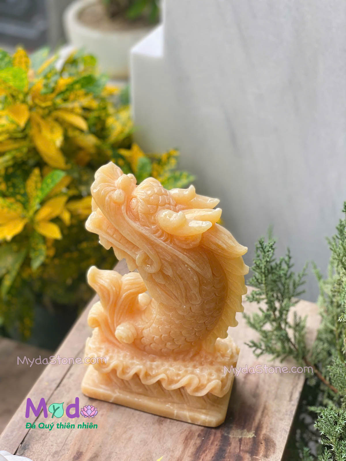 Tượng Cá Chép hoá rồng đá Ngọc Hoàng Long
