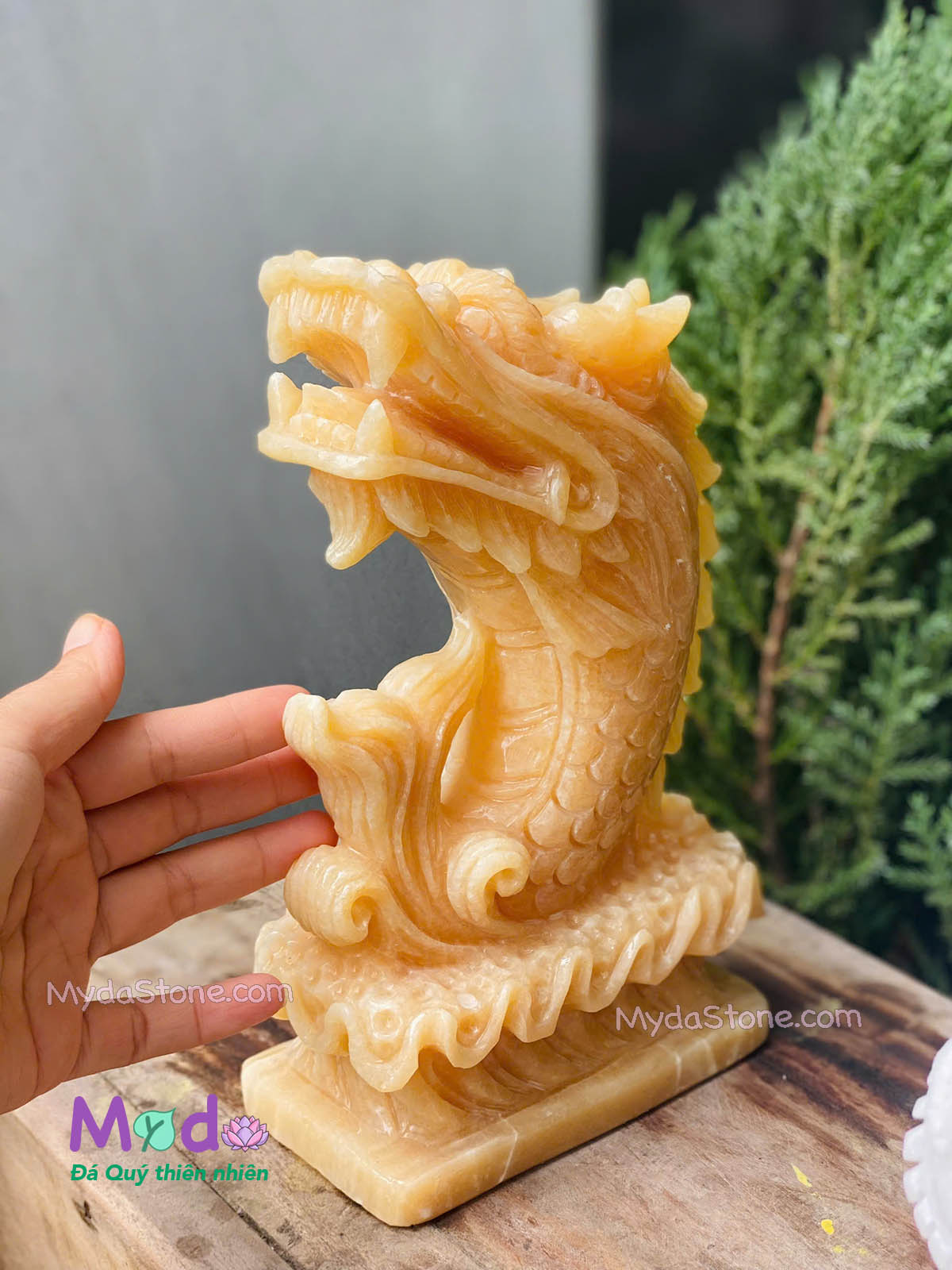 Tượng Cá Chép hoá rồng đá Ngọc Hoàng Long