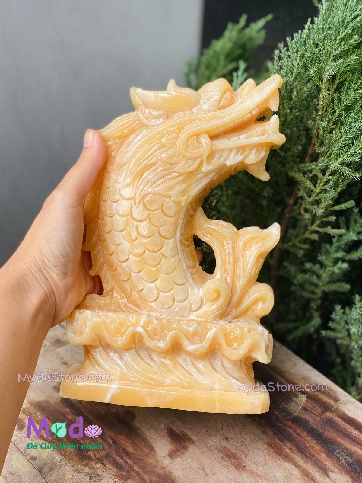 Tượng Cá Chép hoá rồng đá Ngọc Hoàng Long