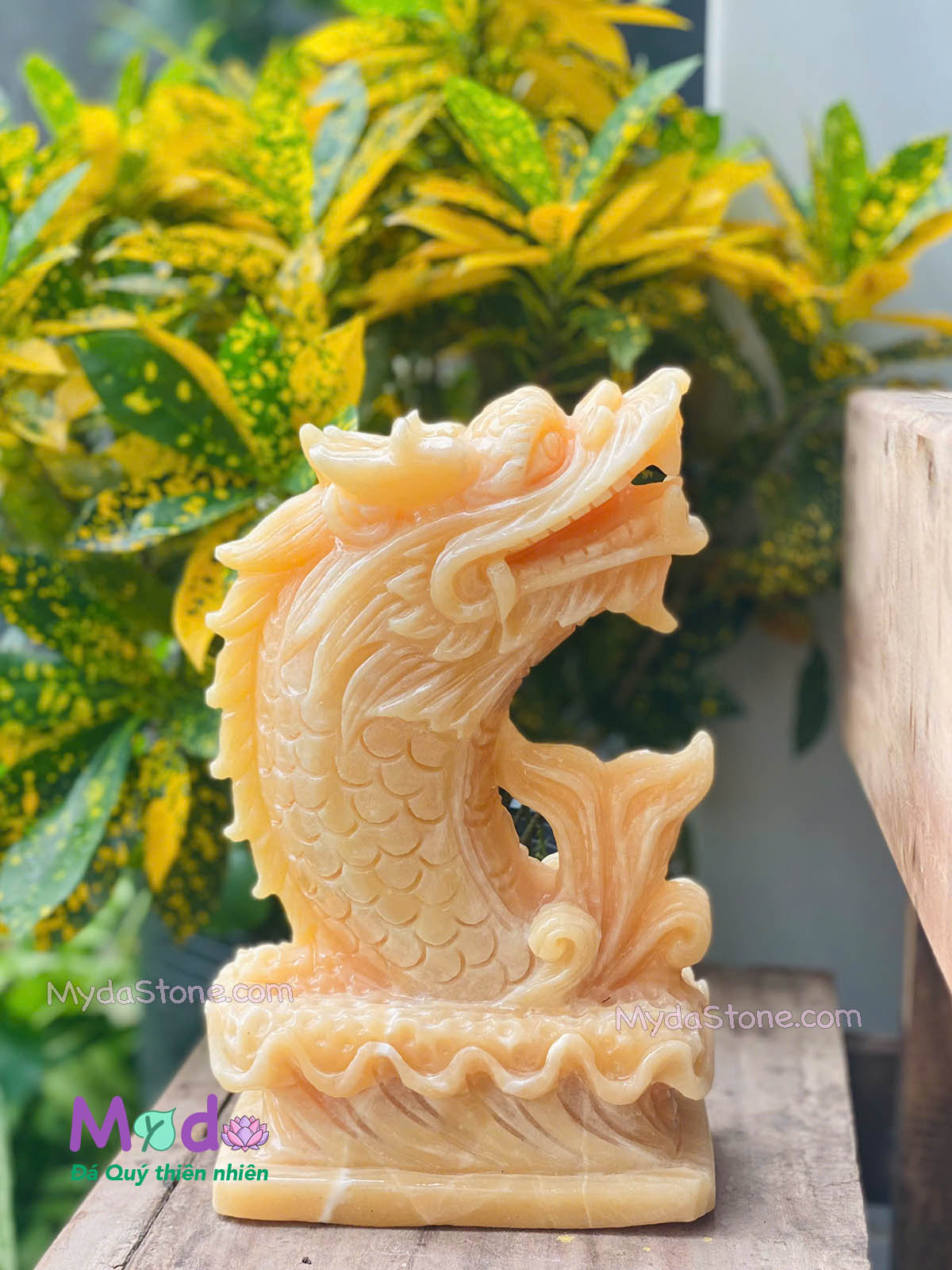 Tượng Cá Chép hoá rồng đá Ngọc Hoàng Long