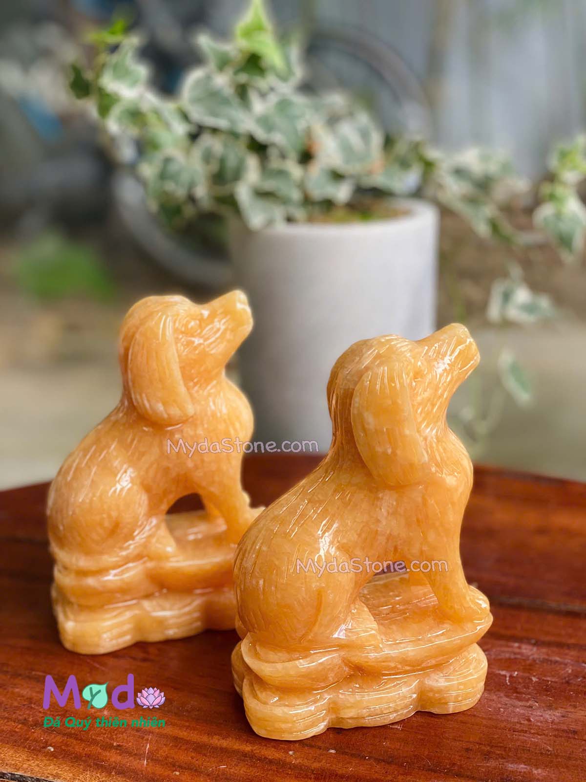 Tượng Chó đá Ngọc Hoàng Long