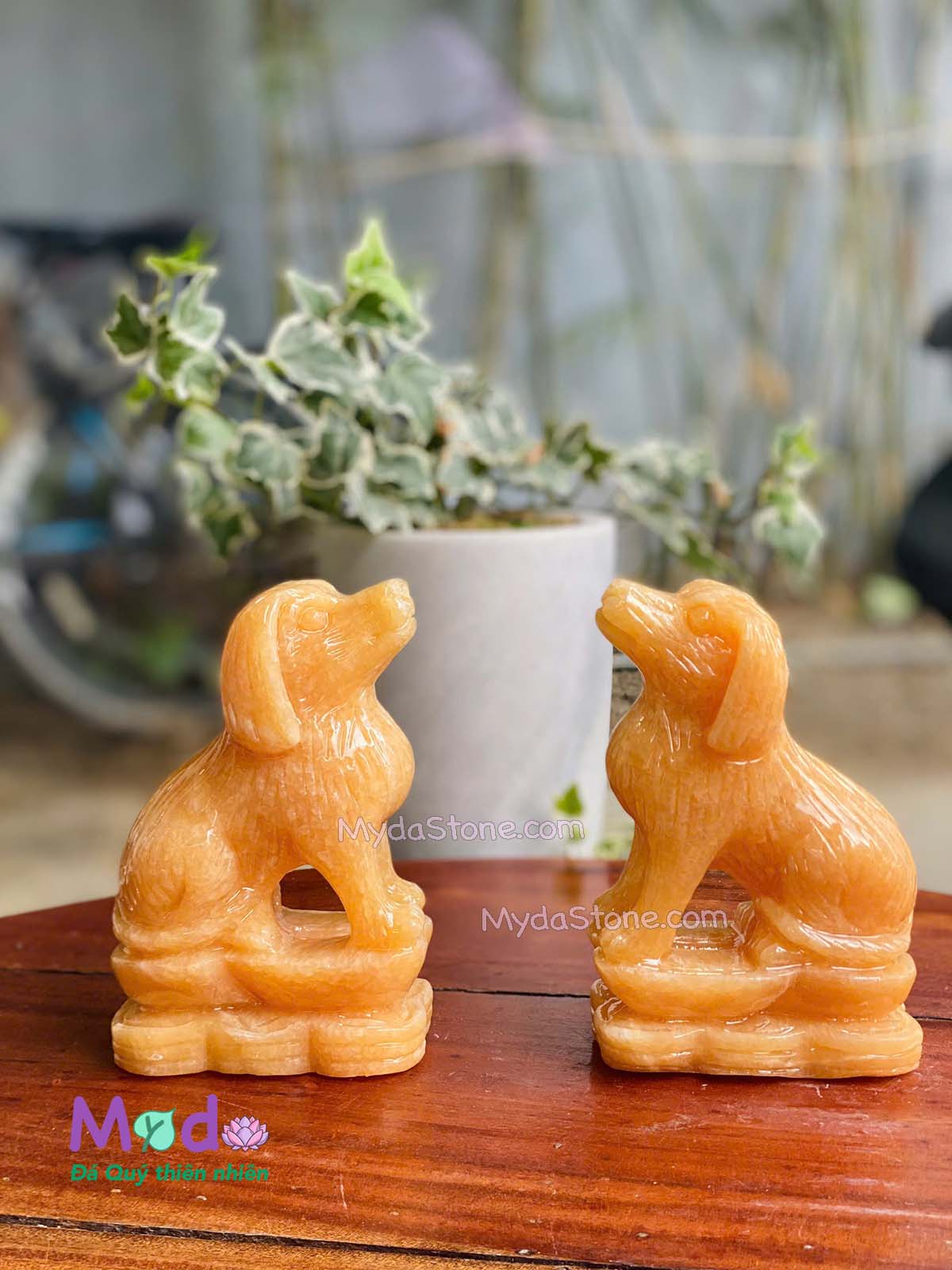 Tượng Chó đá Ngọc Hoàng Long