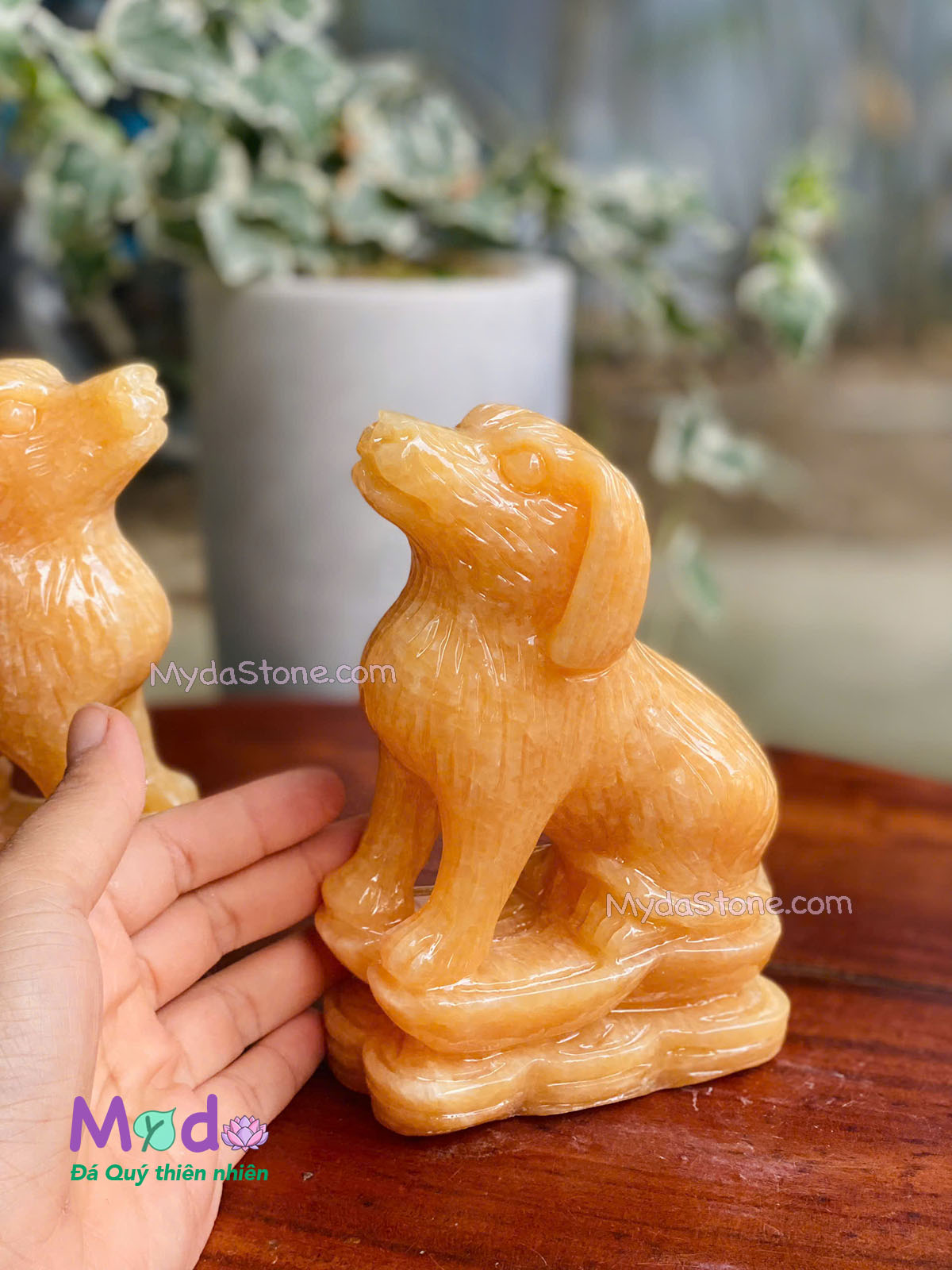 Tượng Chó đá Ngọc Hoàng Long