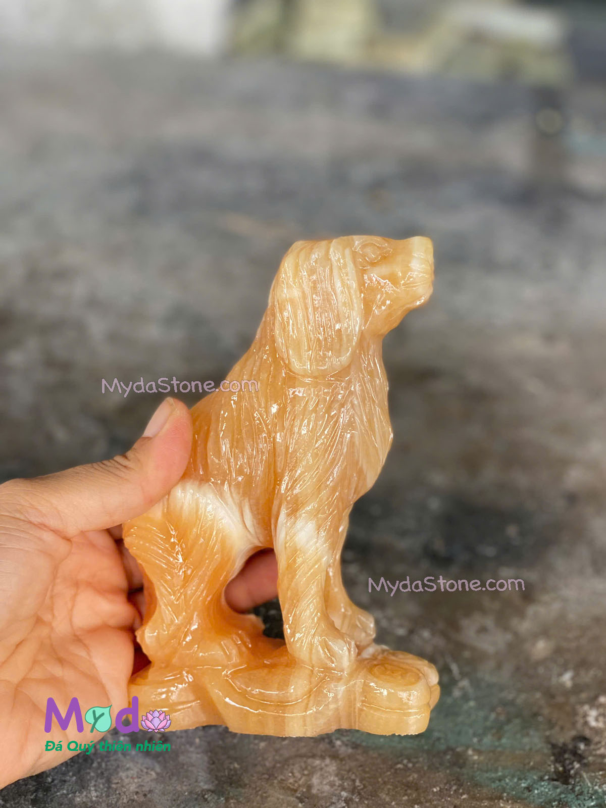 Tượng Chó đá Ngọc Hoàng Long