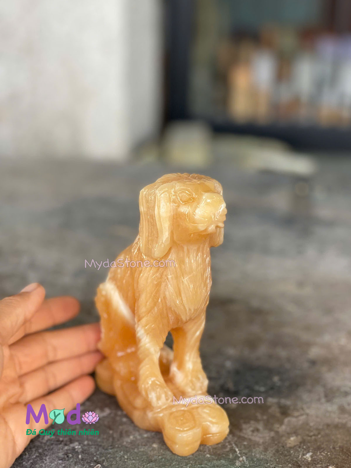 Tượng Chó đá Ngọc Hoàng Long