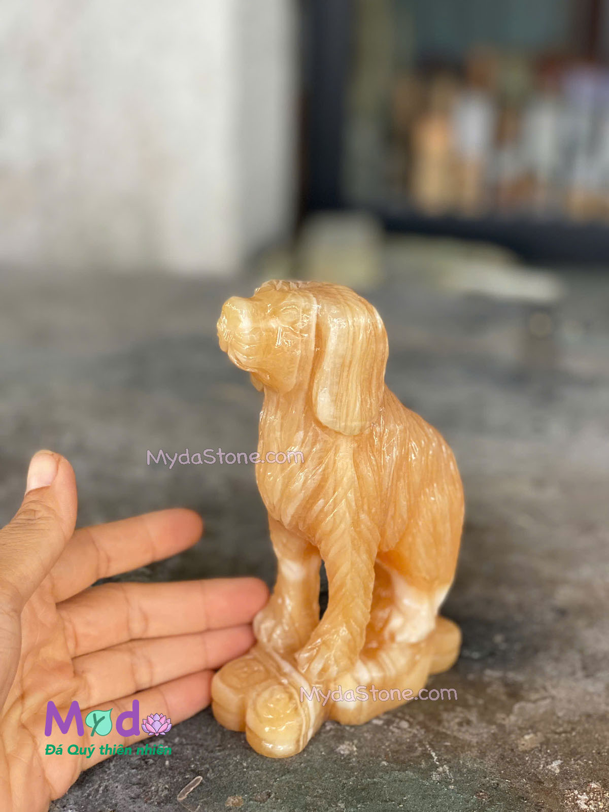 Tượng Chó đá Ngọc Hoàng Long