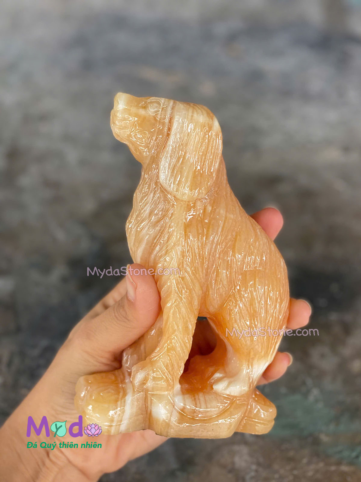 Tượng Chó đá Ngọc Hoàng Long