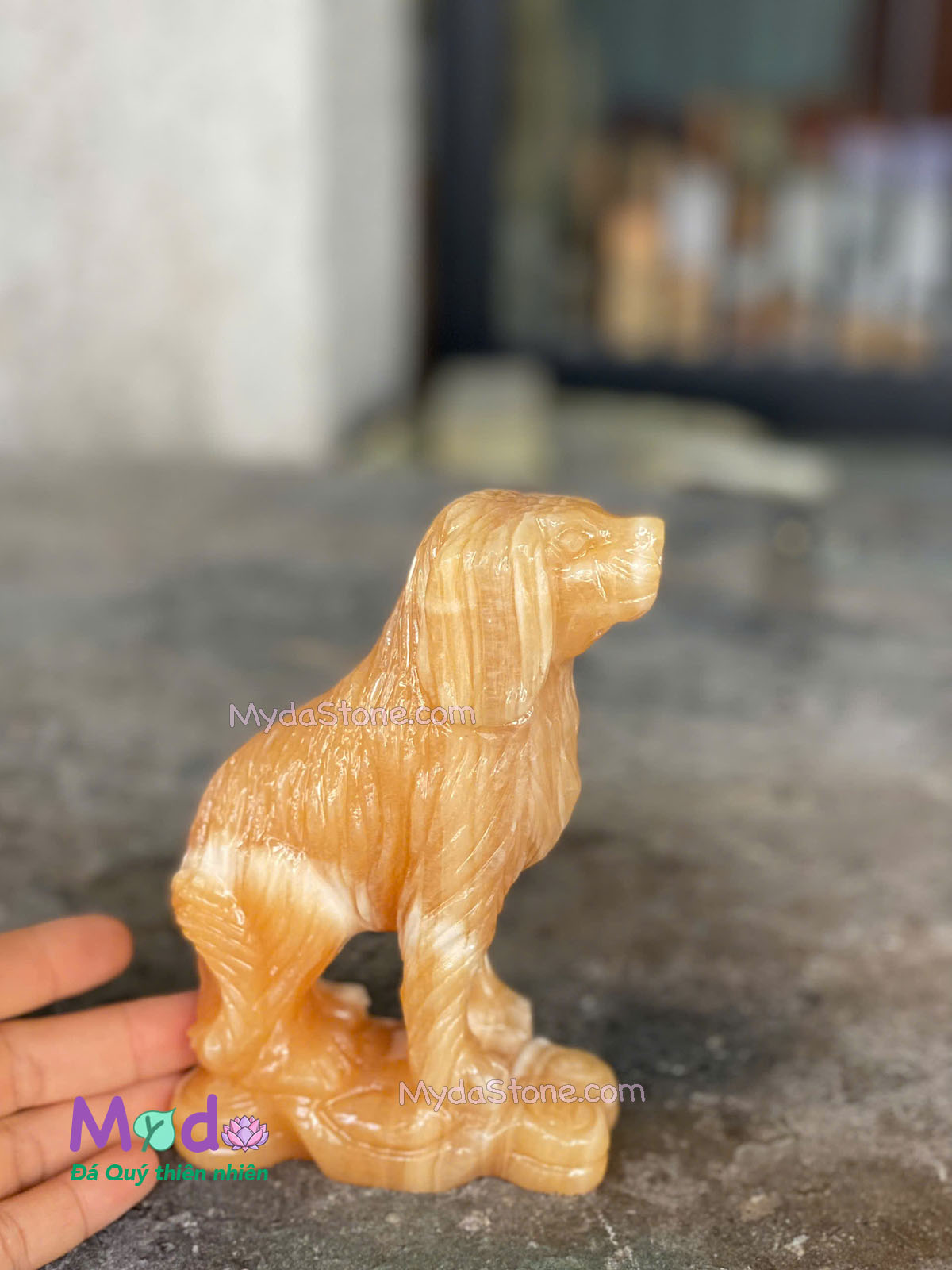 Tượng Chó đá Ngọc Hoàng Long
