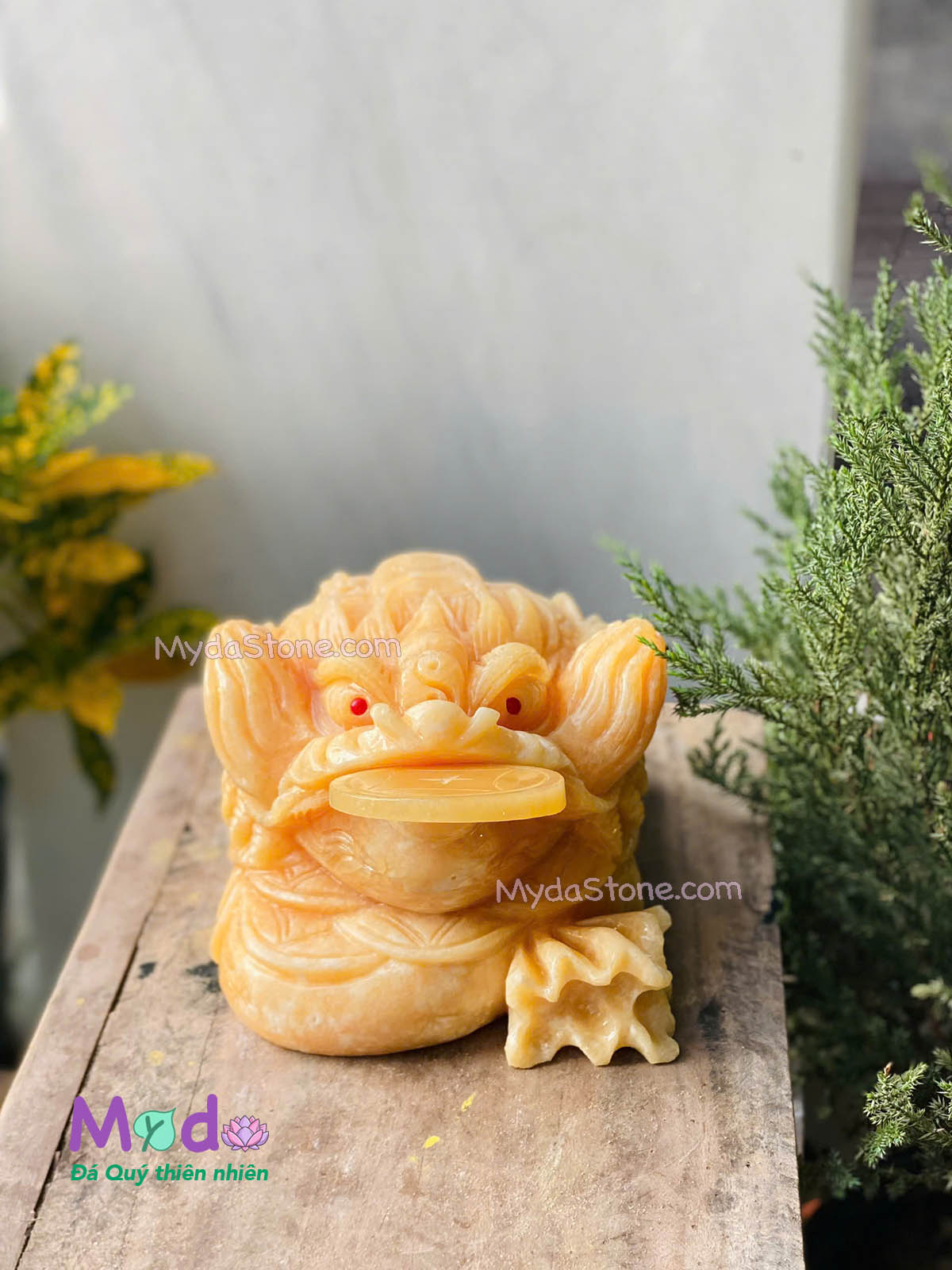 Tượng Cóc Thiềm Thừ đá Ngọc Hoàng Long
