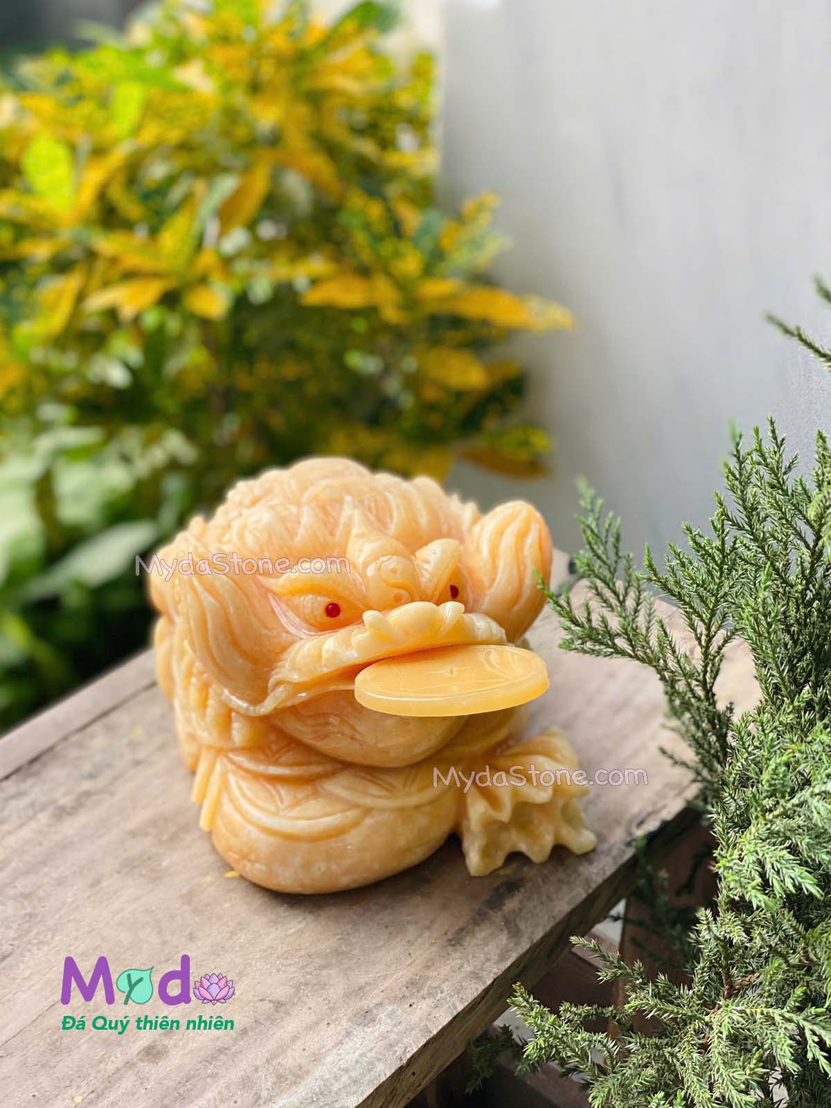 Tượng Cóc Thiềm Thừ đá Ngọc Hoàng Long