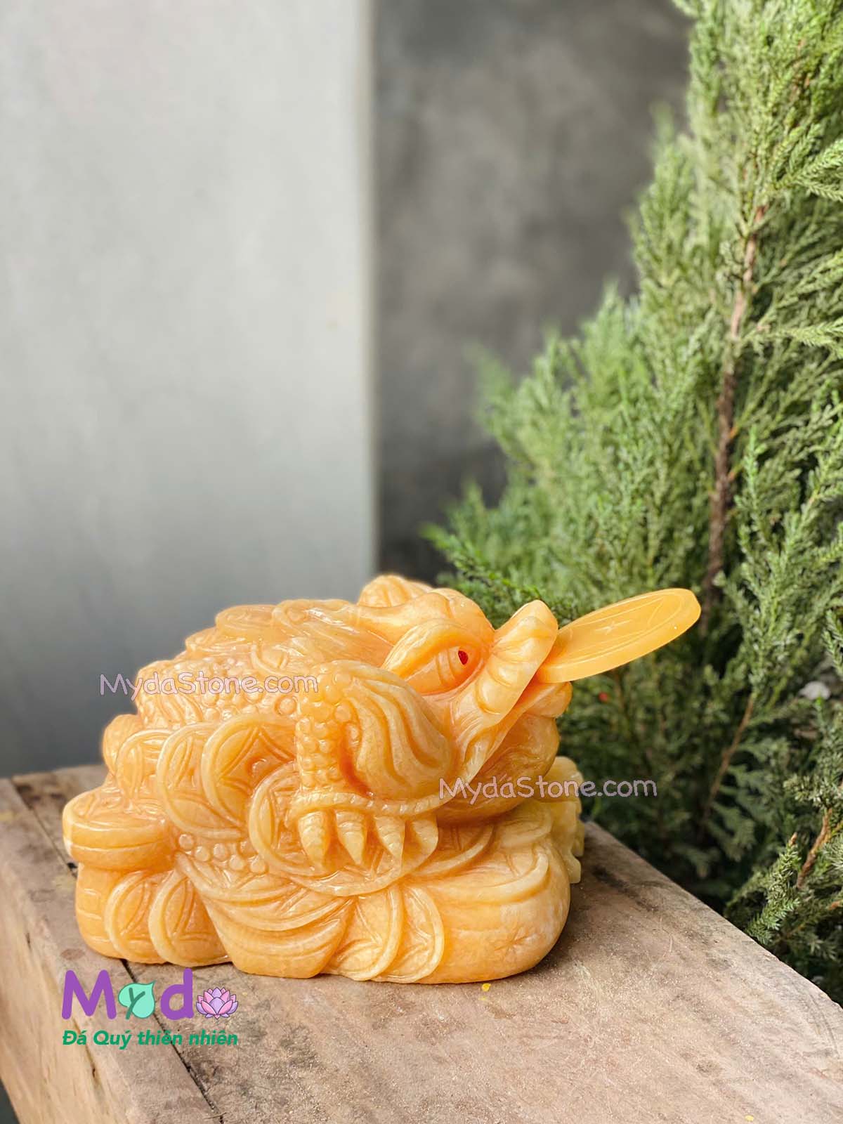 Tượng Cóc Thiềm Thừ đá Ngọc Hoàng Long