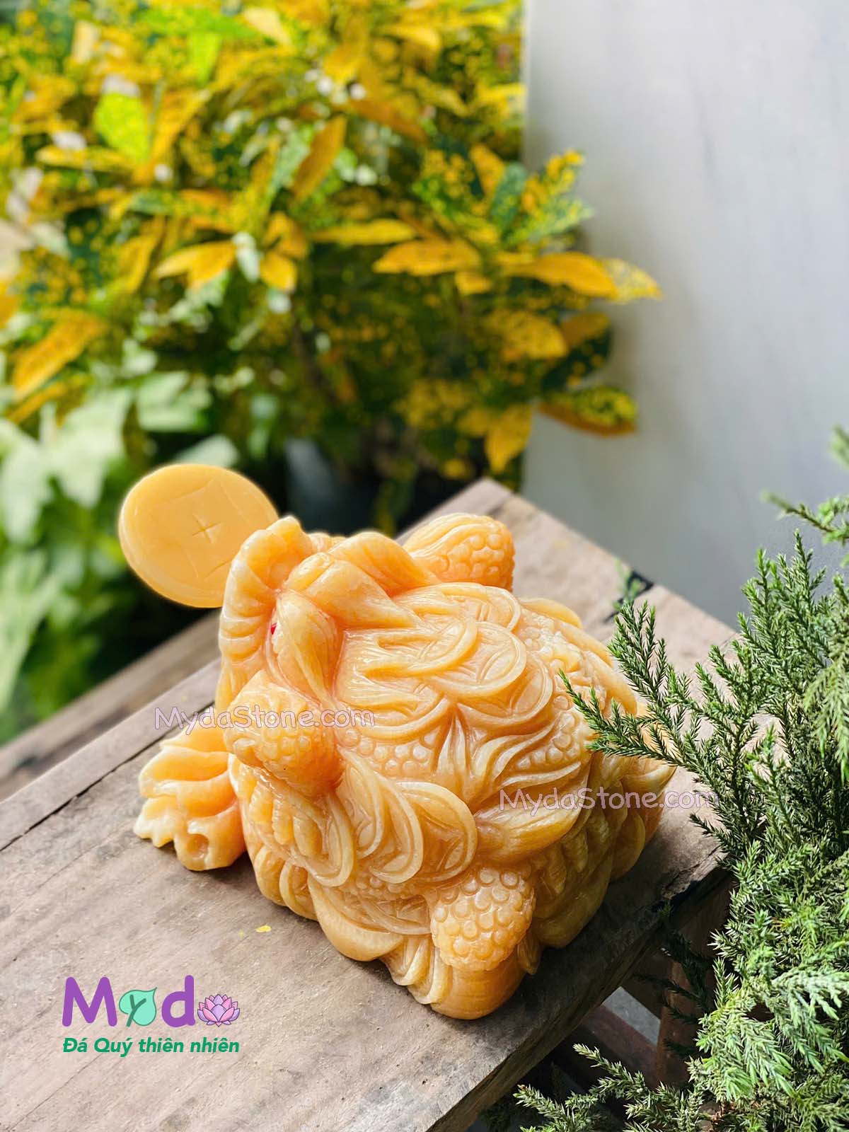 Tượng Cóc Thiềm Thừ đá Ngọc Hoàng Long