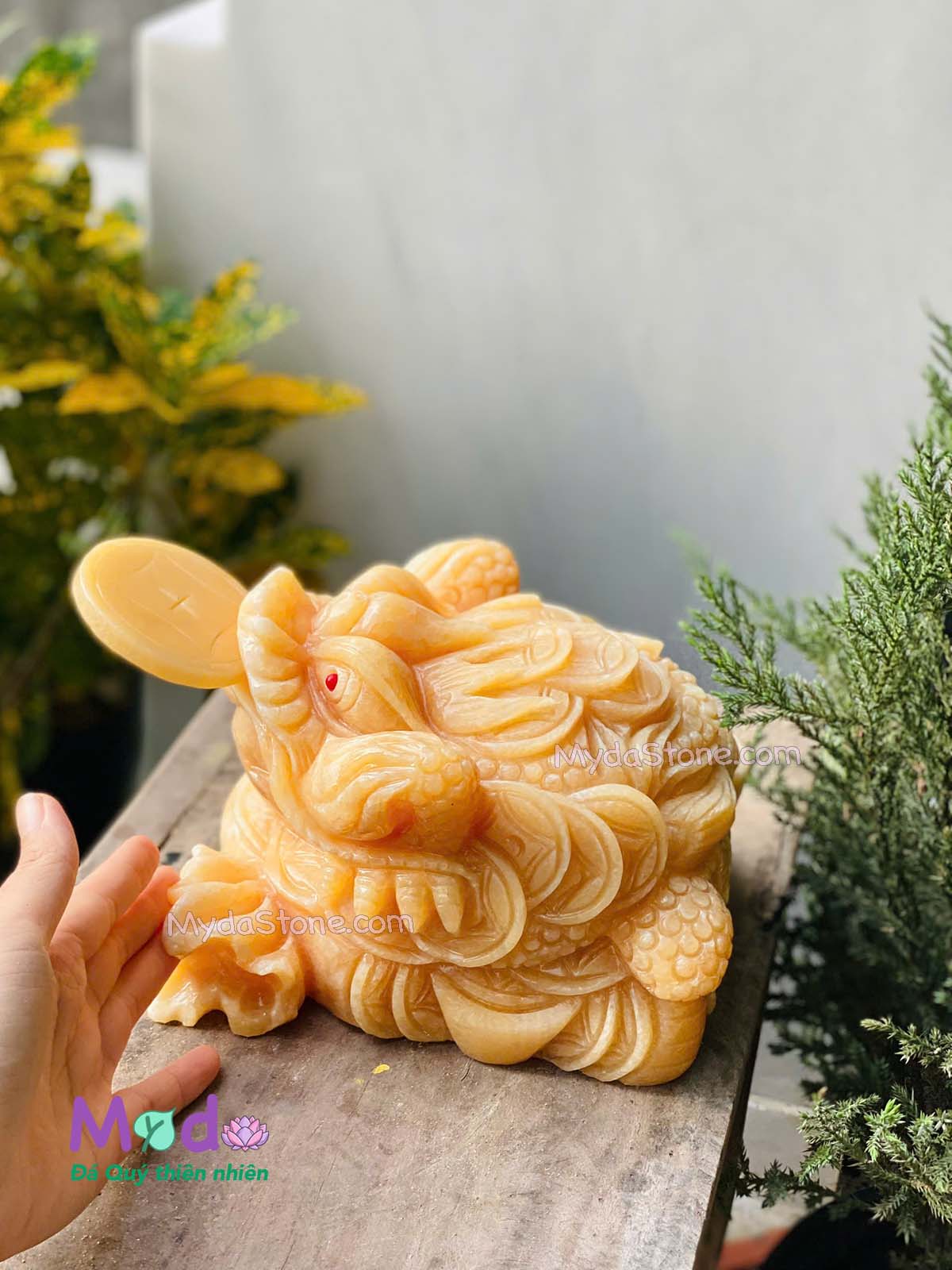 Tượng Cóc Thiềm Thừ đá Ngọc Hoàng Long