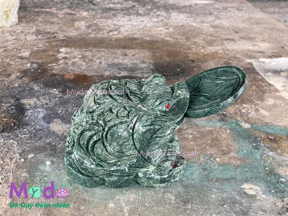 Cóc Thiềm Thừ Đá Xanh Ấn Độ