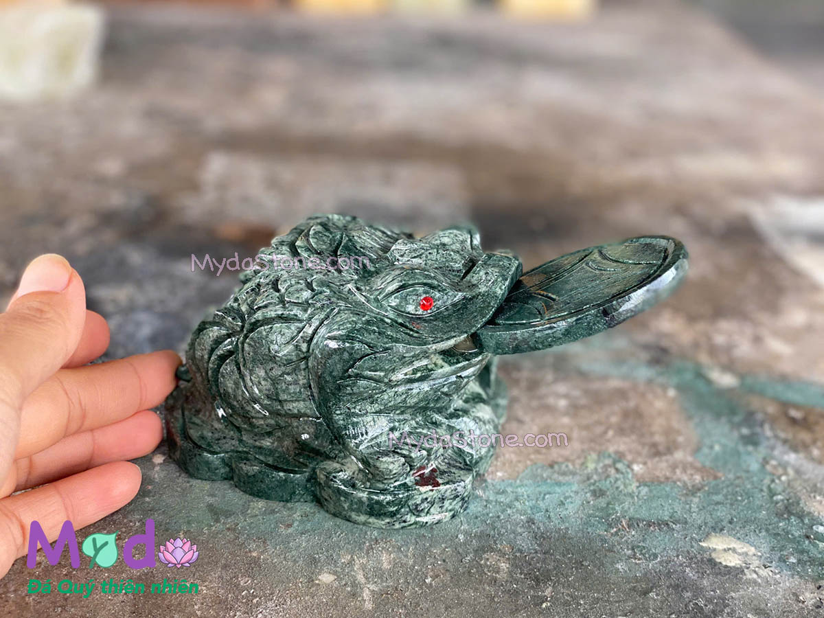 Cóc Thiềm Thừ Đá Xanh Ấn Độ