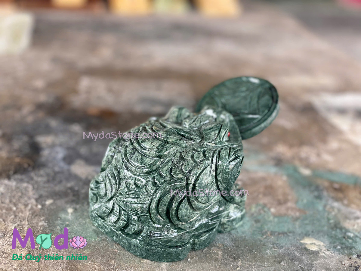 Cóc Thiềm Thừ Đá Xanh Ấn Độ