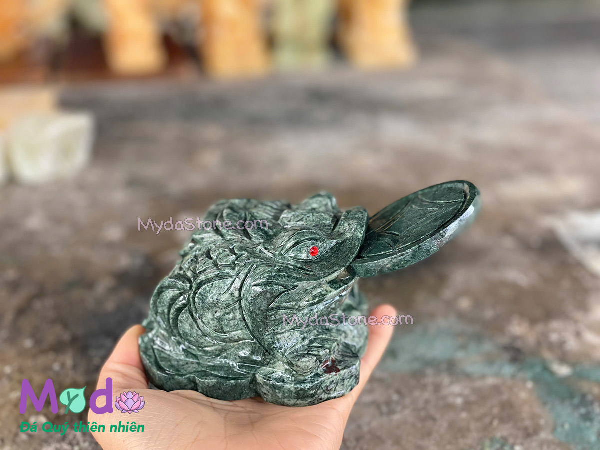 Cóc Thiềm Thừ Đá Xanh Ấn Độ