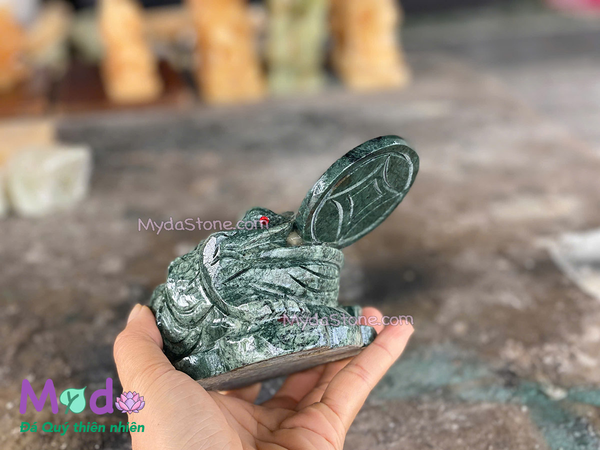 Cóc Thiềm Thừ Đá Xanh Ấn Độ